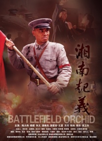 路上注意安全，宋阳光祝大家一路顺风，回家多陪陪家里人，幸幸福福哦。