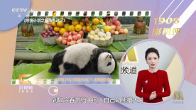 电影节期间将开展开幕式、电影展映、电影论坛、中影华夏看片会、电影项目创投会、电影惠民活动、北京放映·丝路再起航、闭幕式&颁奖 第27届上海国际电影节2025.6举办 全球征片启动 2024-12-10 第27届上海国际电影节将于2025年6月举办。